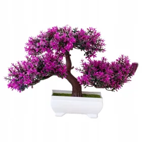    Семена за декоративни зеленчуци 1