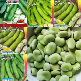  BEAN SEED COLLECTION комплект от 5 пакета