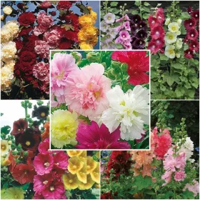    Комплект MALW COLLECTION, malwa malwy, 5 различни микса