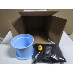    Комплект за култивиране на бонсай от дървото на Юда +!!!