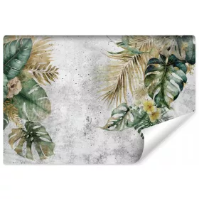   Тапет за спалня Tropical LEAVES Monstera бетонна стена 368x254