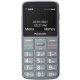  Мобилен телефон Panasonic KX-TU160EXG 32 MB 2G сив