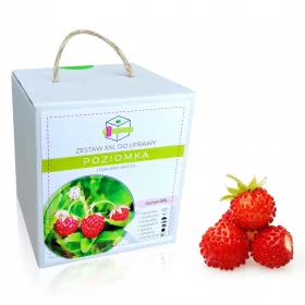    Комплект за отглеждане на балконски ягоди Sweet Home Xxl Семена - за подарък