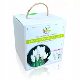    КОМПЛЕКТ БЯЛА ДЕКОРАТИВНА ТРЕВА ПАМПАС ЗА ОТГЛЕЖДАНЕ НА XXL СЕМЕНА - ЗА ПОДАРЪК