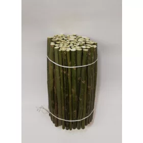  Върби 20-20 см