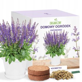    Комплект за отглеждане на котешка билка в котешка саксия