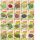 Комплект семена за здраве Sprouts Fit 20 пакета
