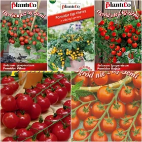    БАЛКОНСКИ ДОМАТИ Събиране на семена Комплект от 5 пак.