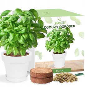    Комплект за отглеждане на Босилек за перваза на прозореца
