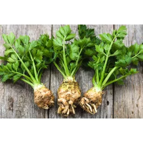  Разсад целина Корен Диамант 25 бр