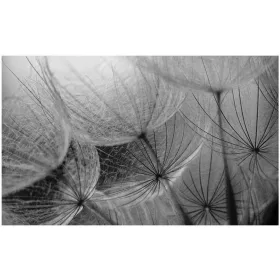   3D фототапети глухарчета фототапети 368 x 254