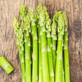   Разсад аспержи Gijnlim Kl. Зелено бял - хибрид 10 бр