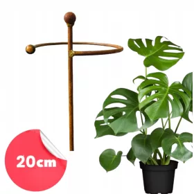    Подпора за растения, храсти, цветя, градинска подпора D20 H60cm, полска, масивна