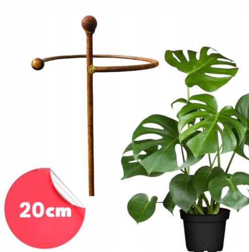  Подпора за растения, храсти, цветя, градинска подпора D20 H60cm, полска, масивна