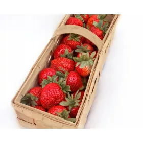    Elsanta - Grandarosa - Florence горски ягоди и ягоди, разсад на гол корен 10-25 см