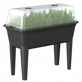    Мини оранжерия 74,9 см х 36,8 см, пластмаса