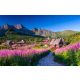 ФОТОТАПЕТ ЗА СПАЛНЯ,ХОЛ,ЗАЛА GASIENICOWA TATRAS ТАПЕТ СТЕНА 390x254