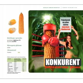   Смляна царевица Квалификация на СЪСТЕЗАТЕЛ 50 000 PLN. семена, FAO 230-240 SMOLICE