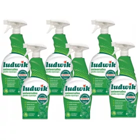   Комплект от 6x Ludwik Универсална почистваща пяна 0,75л Лайм