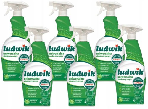  Комплект от 6x Ludwik Универсална почистваща пяна 0,75л Лайм