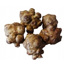    Ерусалимски артишок слънчоглед Албик Едри грудки 5кг