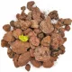  Препарат за септични ями, скали, Gawlik, 25 кг