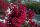  Lagerstroemia LAGERSTREMIA Indica DURAND RED Разсад червен индийски бъз