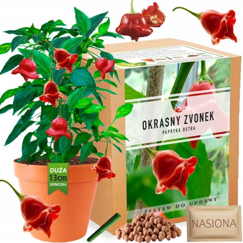  Paprika Okrasny Zvonek Комплект за отглеждане на чушки XXL Семена Декоративни