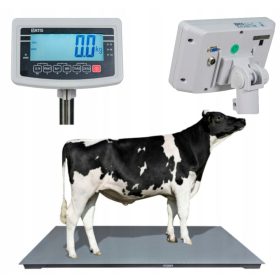   ЕЛЕКТРОНЕН КАНТАР ЗА ЖИВ ГОВЕДИ ПЛАТФОРМА VW 3т 0.5кг