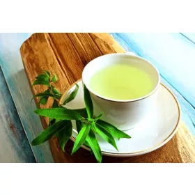    НОВА ЛИПИЯ ТРИЛИСТНА ЛИМОНОВА ВЪРБИНКА РАЗСЪД