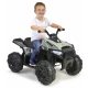  Quad Feber 12541 Черен, Зелен