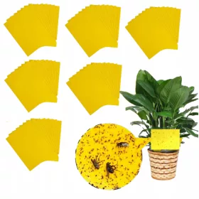    ЖЪЛТИ ХАРТИИ ЗА САКСИИ ДЪСКИ ЗА ЧАШИ НАСЕКОМИ 20х10СМ
