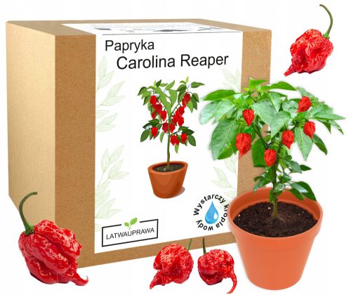  Комплект за отглеждане на семена от червен пипер Carolina Reaper HP22B - НАЙ-ПЛЮНКАТА