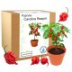  Комплект за отглеждане на семена от червен пипер Carolina Reaper HP22B - НАЙ-ПЛЮНКАТА