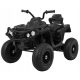  Quad Ramiz PA.BDM0906.AIR.CZ Черен