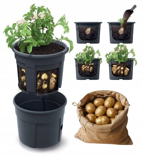  Prosperplast саксия за цветя 39,2 см x 39,2 x 31,6 см диаметър 39,2 см пластмасова черна