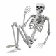  ЧОВЕШКИ СКЕЛЕТ ОТ КОСТИ HALLOWEEN 170СМ