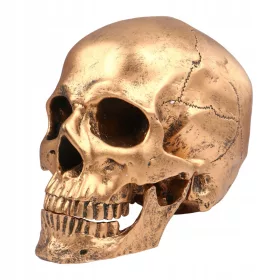    1PC Skull Action Figure Хелоуин Череп Опора