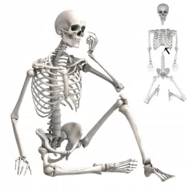    СКЕЛЕТ висящ скелет страшен HALLOWEEN декорация 170СМ