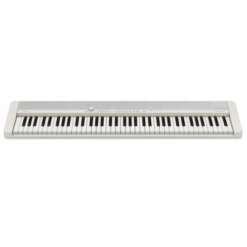 Клавиатура Casio CT-S1WE