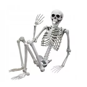    МОДЕЛ НА ЧОВЕШКИ СКЕЛЕТ HALLOWEEN BONES 90СМ