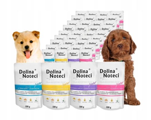  DOLINA NOTECI Premium Junior мокра храна за кучета Mix of Flavors 40 x 100g