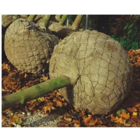    КОШНИЦИ ЗА РАСТЕНИЯ С БУЧКА - Ø 100 см / 25 бр.