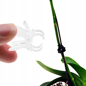    ЩИПКИ ЗА ОРХИДЕИ, ПОДДРЪЖКА 100 БРОЯ