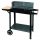  Скара на дървени въглища Master Grill 49 х 27 см