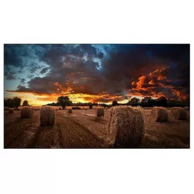    Samsung VM55B-U LED монитор 55" 1920 x 1080 px VA