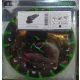  Festool 202461 шлифовъчна плоча 150 мм