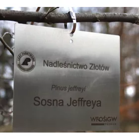    МАРКЕР + етикети с 4 бримки за описание на растения 160x17 мм (17x160) 400 бр.