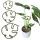  Опора за растения и цветя MONSTERA STRONG Закопчалка за опора SML 3x