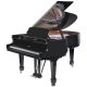  W. Hoffmann P 206 пиано - лъскаво черно